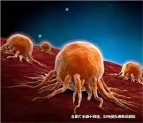 丈夫患癌妻子出走，丈夫起訴離婚