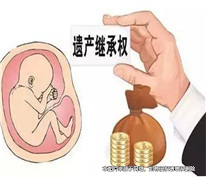 丈夫去世后，留下的胚胎是否有繼承權？