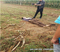 小偷半夜偷車被電死，其家屬向車主和小區(qū)物業(yè)索賠二十多萬