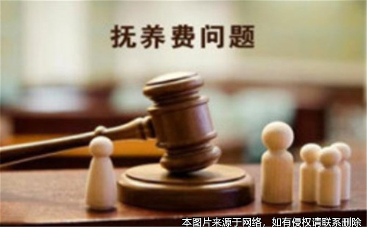 父母離婚多年，兒子起訴未支付撫養費的母親