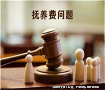 父母離婚多年，兒子起訴未支付撫養費的母親