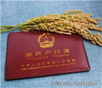 為給非婚生子上戶口，表兄妹登記結婚起糾紛