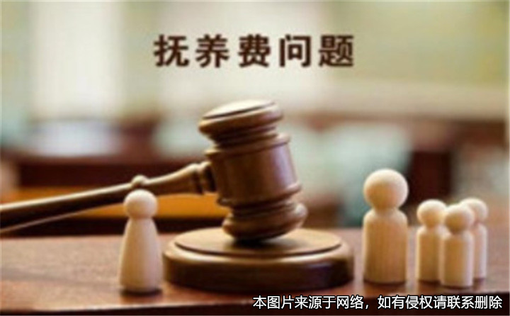 離婚后父親拒絕支付兒子的撫養(yǎng)費(fèi)被申請(qǐng)強(qiáng)制執(zhí)行
